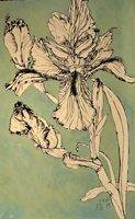 iris, Hadlyme,  2013  52 x 30 inches, ink and oil