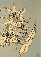 cactus flower, St. Martin, 2015, 24 x 18 inches, oil and ink