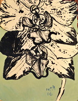 orchid, St. Martin, 2016  24 x 18 inches, oil and ink