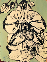 orchid, St. Martin, 2016,  21 x 16 inches  oil and ink