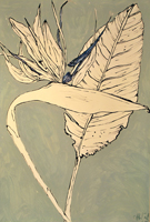 bird of paradise, St. Martin, 2015,  44 x 30 inches, ink and oil