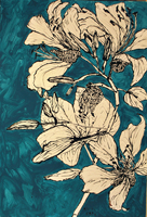 orchid tree flower, St. Barth, 2013,  44 x 30 inches, ink and oil 