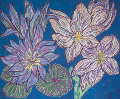 Water lily and lotus flower, 32 x 43 inches, pastel on burgra paper, 2017