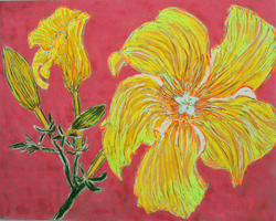 Flower Pastel St. Martin 2020