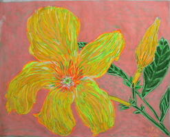 Flower Pastel St. Martin 2020