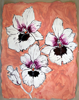 Kwa Zulu Natal 2020 Dry Pastel