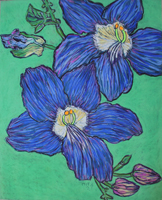 Flower Series St Martin 2022 01