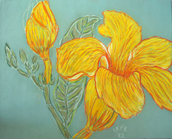 Flower Series St Martin 2022 01