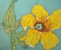 Flower Series St Martin 2022 01