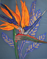 Flower Series St Martin 2022 01