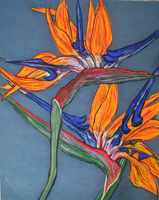 Flower Series St Martin 2022 01