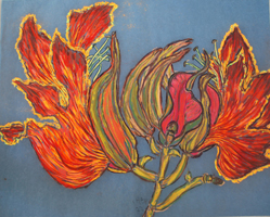 Flower Series St Martin 2022 01