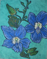 Flower Series St Martin 2022 01