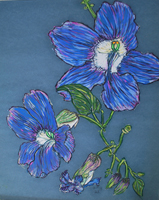 Flower Series St Martin 2022 01