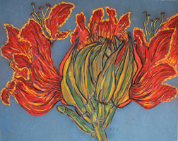 Flower Series St Martin 2022 01