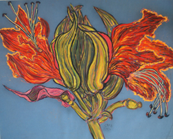 Flower Series St Martin 2022 01