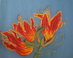 Flower Series St Martin 2022 01