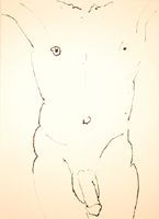 Nude Drawing