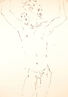 Nude Drawing